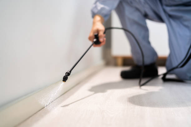 Professional exterminator conducting IPM assessment in Third Lake