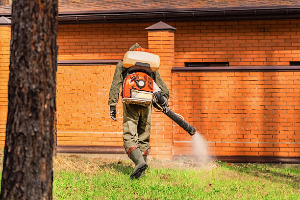 Top rated local Wasp Removal specialists in Third Lake, IL